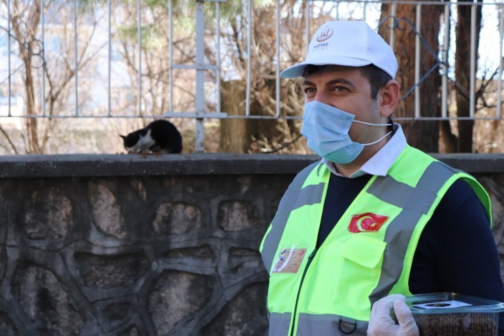 Midyat Belediyesi Sokak Hayvanlarını Unutmadı galerisi resim 10