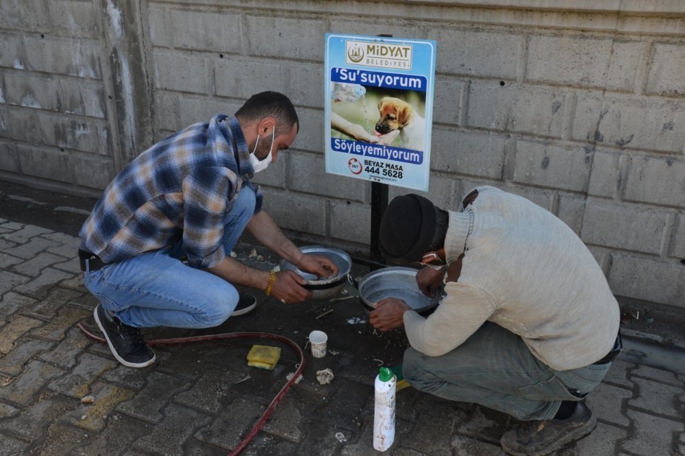 Midyat Belediyesi Sokak Hayvanlarını Unutmadı galerisi resim 2
