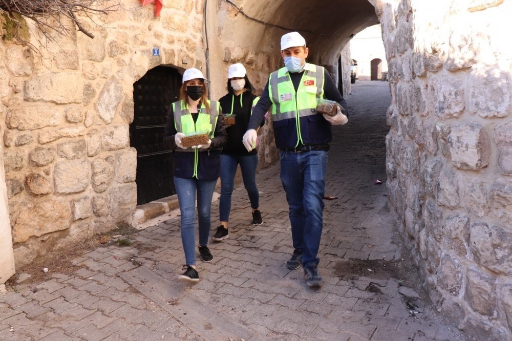 Midyat Belediyesi Sokak Hayvanlarını Unutmadı galerisi resim 3