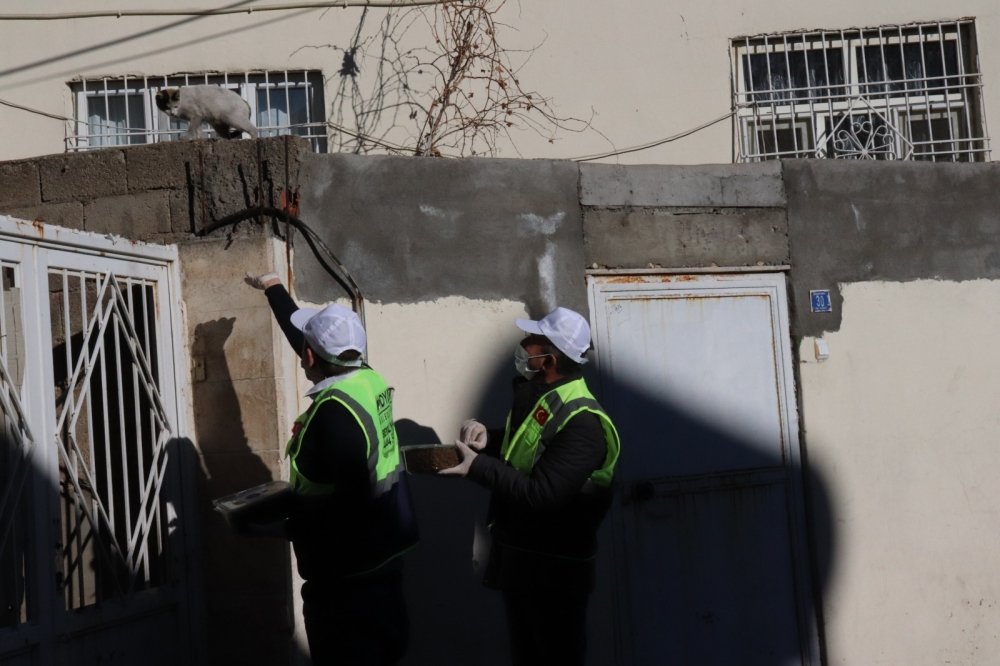 Midyat Belediyesi Sokak Hayvanlarını Unutmadı galerisi resim 8