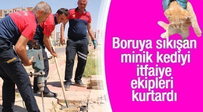 Boruya sıkışan yavru kediyi itfaiye ekipleri kurtardı