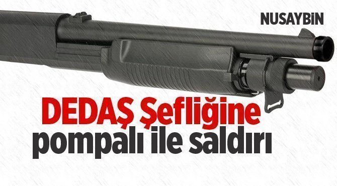 DEDAŞ Şefliğine pompalı tüfekle saldırdı