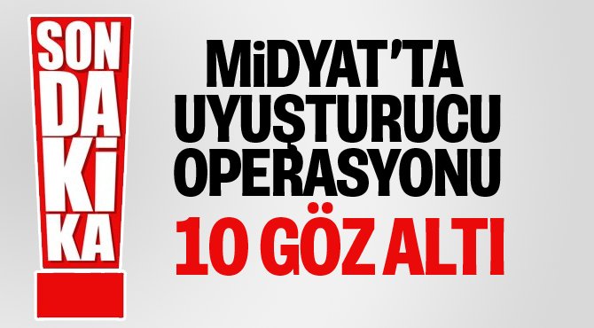 Midyat'ta Uyuşturucu Çetesi Çökertildi