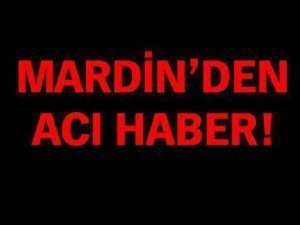Dargeçit'te 3 Asker Şehit Oldu, 8 PKK lı Öldürüldü