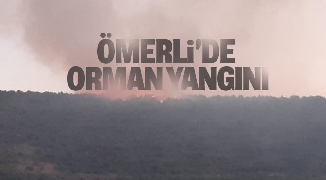 Ömerli'de Orman Yangını