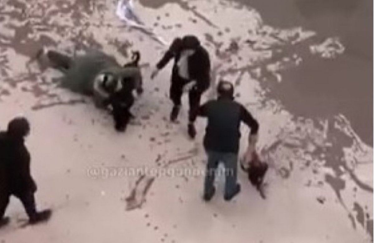 Gaziantep'teki pitbull saldırısında 3 tutuklama