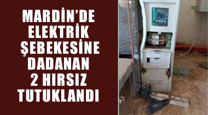Mardin’de elektrik şebekesine dadanan 2 hırsız tutuklandı