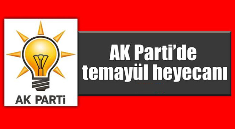 AK Parti’de gözler temayül yoklamasında