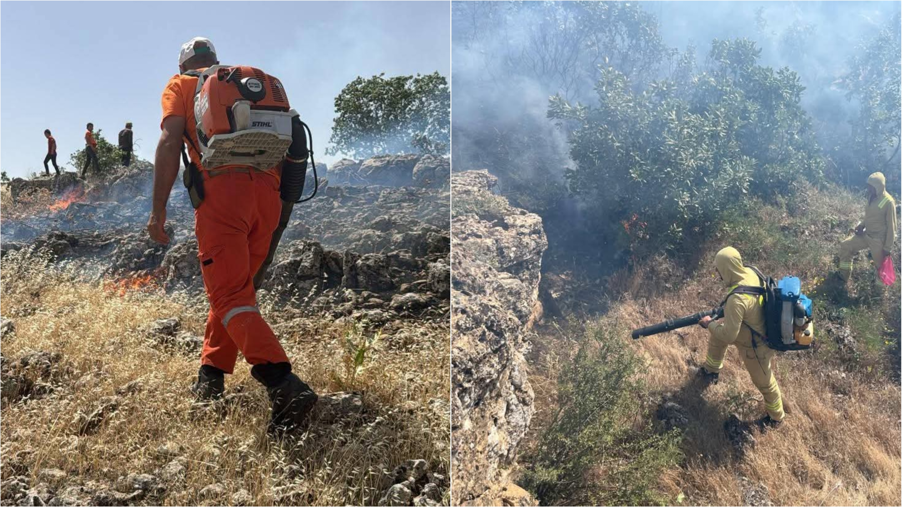 Mardin Ömerli’de Orman Yangını