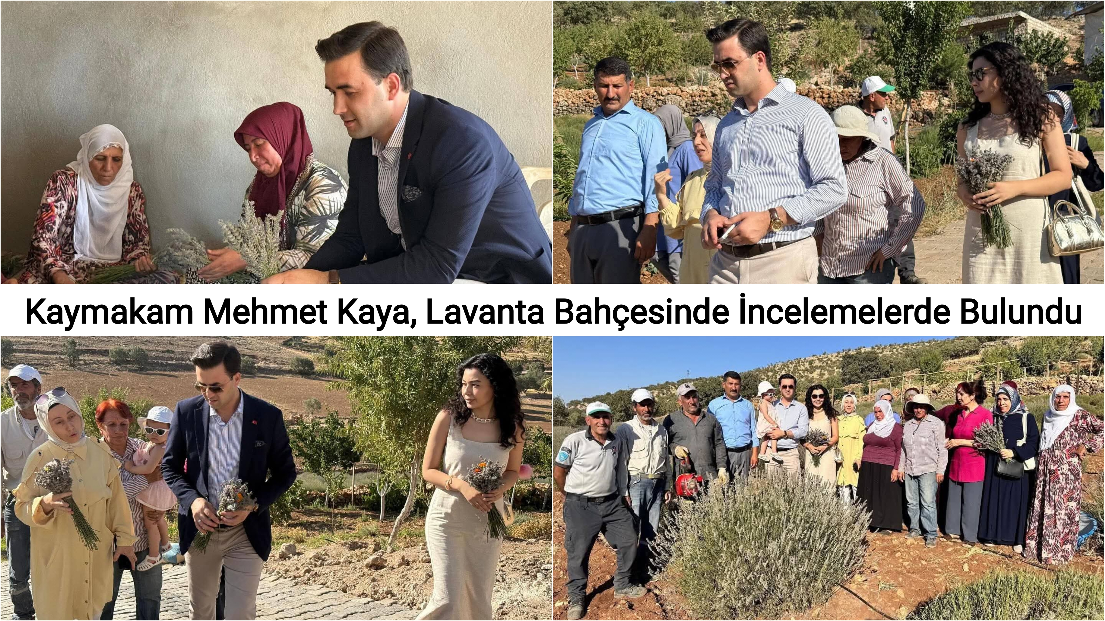 Kaymakam Mehmet Kaya, Lavanta Bahçesinde İncelemelerde Bulundu