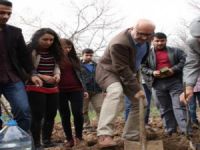 Büyükşehir Belediyesi Savur’da 400 meyve ağacı dikti