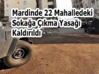 Mardinde 22 Mahalledeki Sokağa Çıkma Yasağı Kaldırıldı