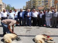 Türkülere konu olan Midyat-Estel Bulvarı restore edilmeye başlandı