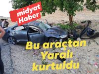 Midyat-Yolağzı yolunda kaza: 1 yaralı