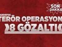 Mardin'de terör operasyonu: 8 gözaltı
