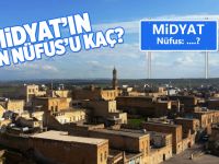 Midyat ve Mardin Nüfus'u hızla artıyor