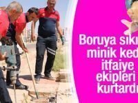 Boruya sıkışan yavru kediyi itfaiye ekipleri kurtardı