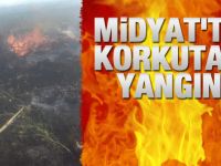 Budaklı ve Yolbaşı Köyünde Yangın