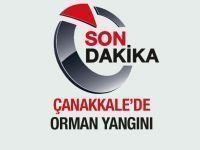 Gelibolu Yarım Adasında Orman YAngını