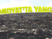 Mardin'de ağaçlık alanda yangın