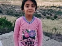 Gercüş'te silahlı kavga 1 ölü