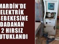 Mardin’de elektrik şebekesine dadanan 2 hırsız tutuklandı