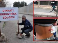 Derik’te 4'ü çocuk 7 kişiyi ısıran köpek kuduz çıktı! Mahalle karantinaya alındı