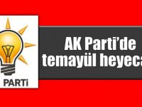 AK Parti’de gözler temayül yoklamasında