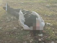 Bir kişi başından vurularak öldürülmüş halde bulundu