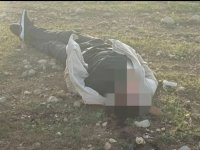 Gizemli Cinayet Aydınlatıldı