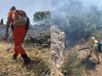 Mardin Ömerli’de Orman Yangını