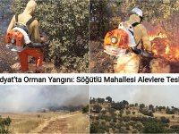 Midyat’ta Orman Yangını: Söğütlü Mahallesi Alevlere Teslim