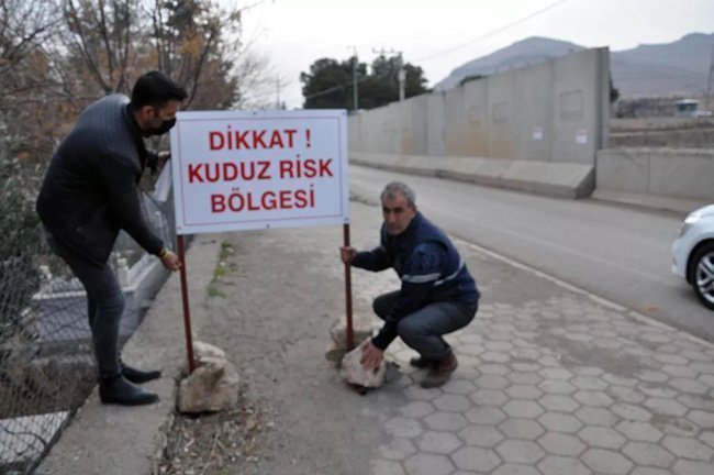 derik’te-4u-cocuk-7-kisiyi-isiran-kopek-kuduz-cikti!-mahalle-karantinaya-alindi-(3)-001.jpg