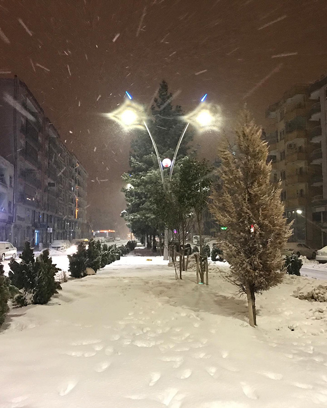 midyatta-beklenen-kar-yagisi-basladi-(5).jpeg